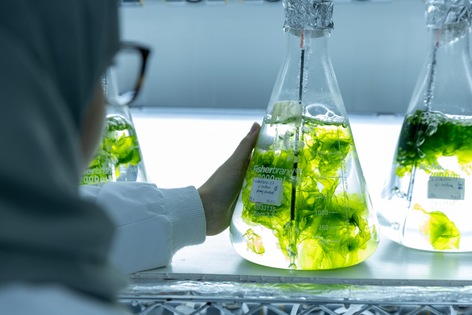 KAUST Beacon Development – Driving Success through Strategy